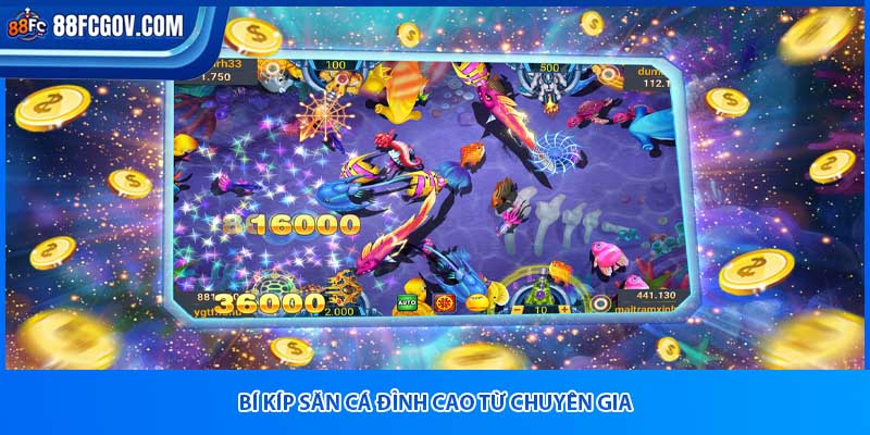 Bí kíp săn cá đỉnh cao từ chuyên gia